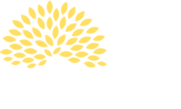 The Big Tree